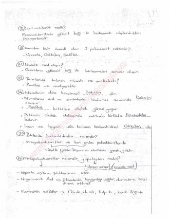 Beslenme Dersi Çalışma Soruları ve Cevapları