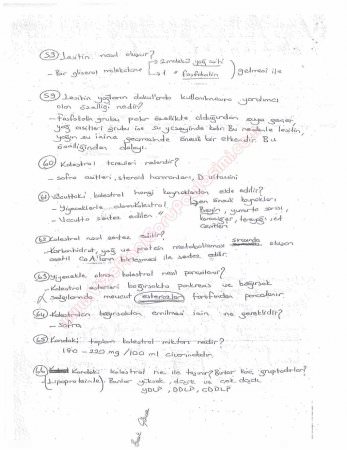 Beslenme Dersi Çalışma Soruları ve Cevapları