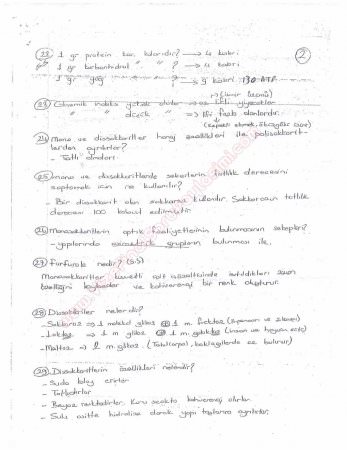 Beslenme Dersi Çalışma Soruları ve Cevapları