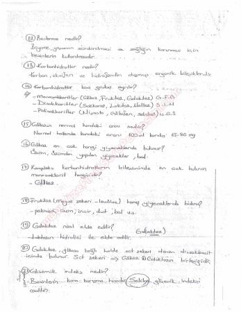 Beslenme Dersi Çalışma Soruları ve Cevapları