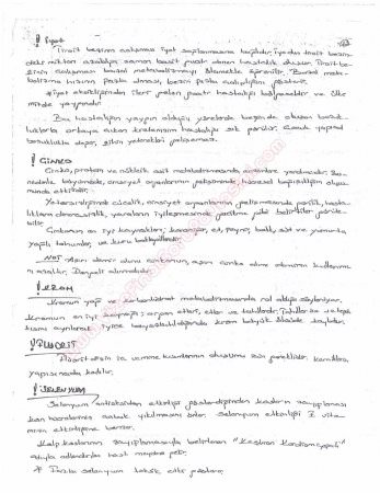 Beslenme Dersi Çalışma Soruları ve Cevapları