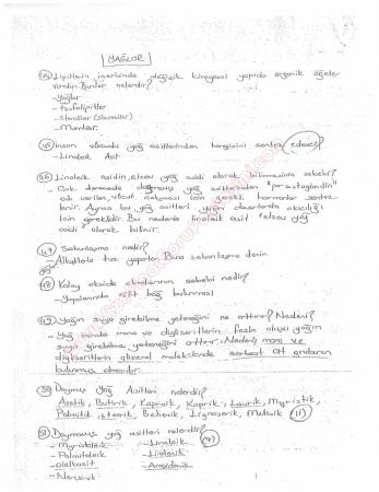 Beslenme Dersi Çalışma Soruları ve Cevapları