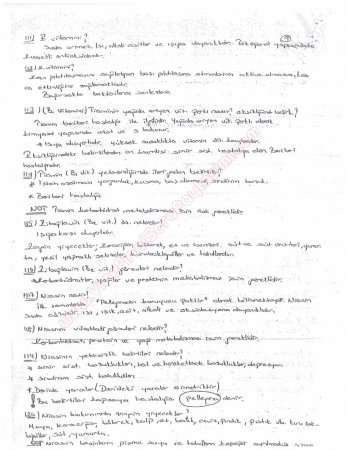 Beslenme Dersi Çalışma Soruları ve Cevapları