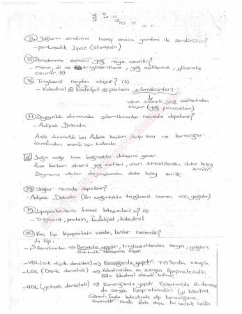 Beslenme Dersi Çalışma Soruları ve Cevapları