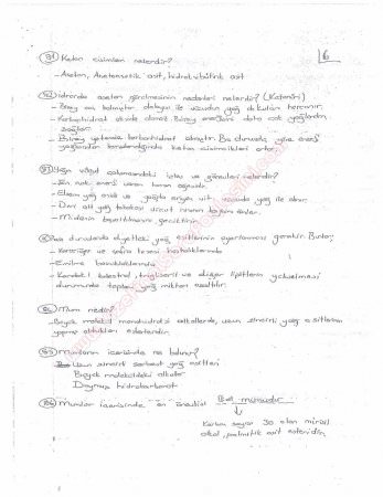 Beslenme Dersi Çalışma Soruları ve Cevapları