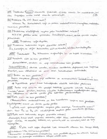 Beslenme Dersi Çalışma Soruları ve Cevapları