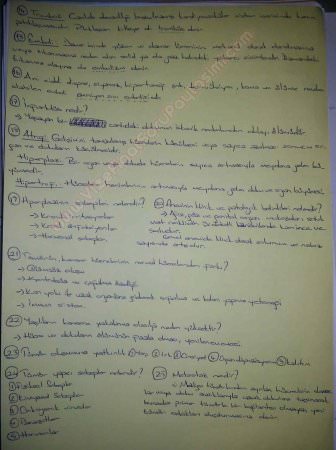 Patoloji Dersi Final Soruları ve Cevapları