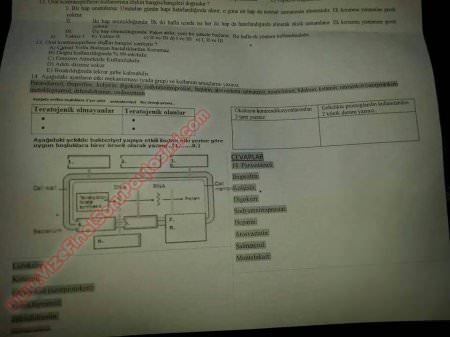 Farmakoloji Dersi Sınav Soruları