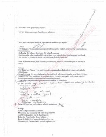 Mikrobiyoloji Dersi Çalışma Soruları ve Cevapları