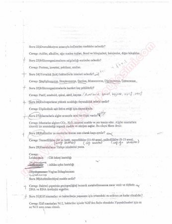 Mikrobiyoloji Dersi Çalışma Soruları ve Cevapları