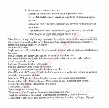 Mikrobiyoloji Dersi Çalışma Soruları ve Cevapları