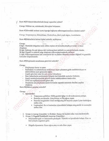 Mikrobiyoloji Dersi Çalışma Soruları ve Cevapları