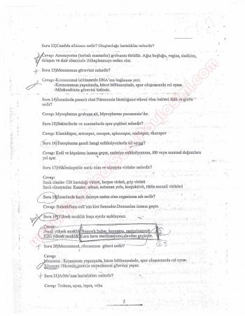 Mikrobiyoloji Dersi Çalışma Soruları ve Cevapları