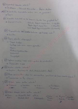 Beslenme Dersi Çalışma Soruları ve Cevapları -2