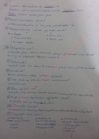 Beslenme Dersi Çalışma Soruları ve Cevapları -2