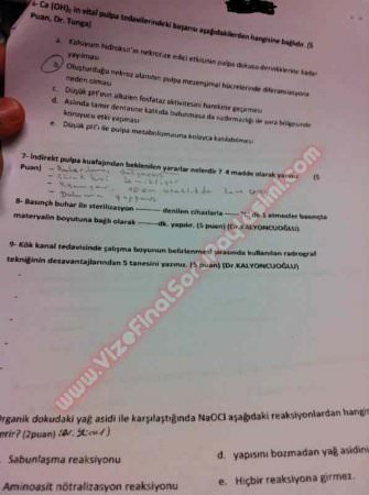 Endodontiye Giriş Final Soruları 2012