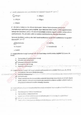 Endodontiye Giriş Final Soruları 2013