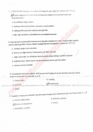 Endodontiye Giriş Final Soruları 2013