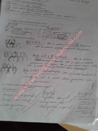 Ortodonti 2.Vize Soruları