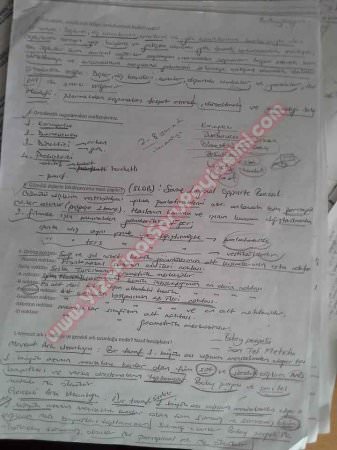 Ortodonti 2.Vize Soruları