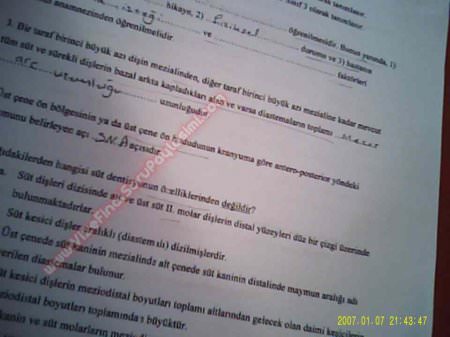 Ortodonti Final Soruları