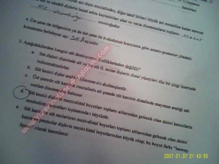 Ortodonti Final Soruları