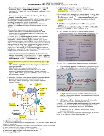 Moleküler Biyoloji 1 Vize Soru ve Cevapları 2009