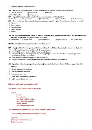 Kamu Maliyesi Dersi Vize Çalışma Soruları
