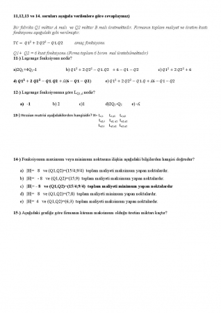 İktisadi Matematik Final Soruları