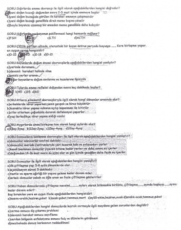 Hayvan Davranışları Dersi Final Soruları