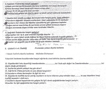 Hayvan Davranışları Dersi Vize Soruları -2