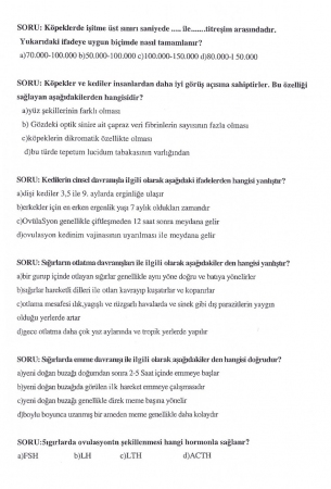 Hayvan Davranışları Dersi Final Soruları