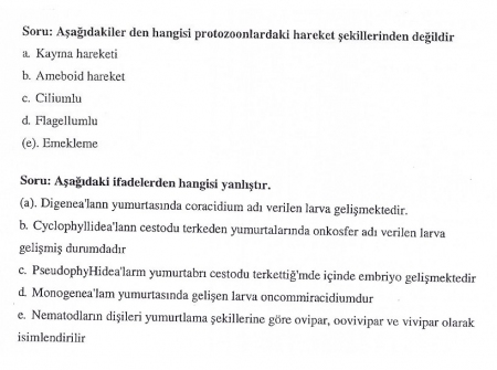 Genel Parazitoloji Vize Soruları ve Cevapları
