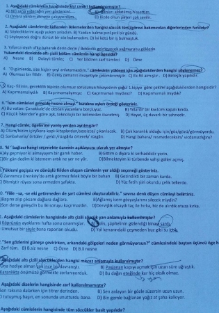 Türk Dili -2 Vize Soruları - 2016