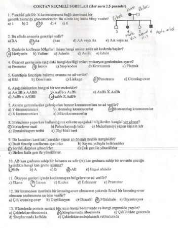 Genetik Dersi Final Soruları ve Cevapları