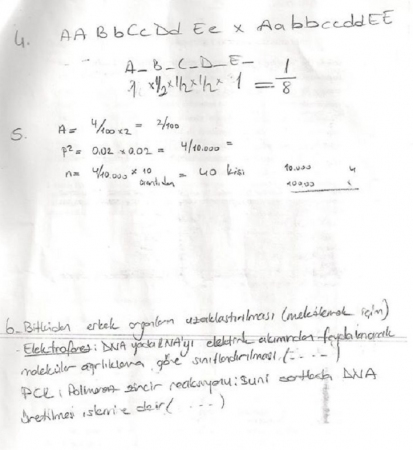 Genetik Dersi Final Soruları ve Cevapları