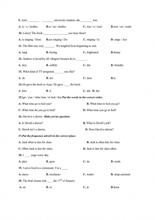 Abant İzzet Baysal Üniversitesi İngilizce -1 Muafiyet Soruları