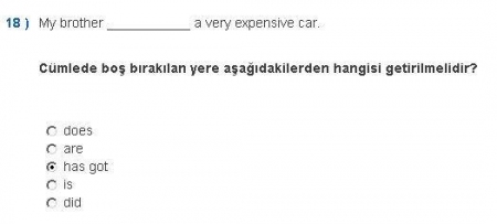 İngilizce -1 Vize Soruları ve Cevapları