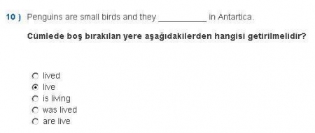 İngilizce -1 Vize Soruları ve Cevapları