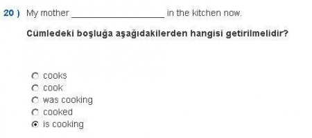 İngilizce -1 Vize Soruları ve Cevapları