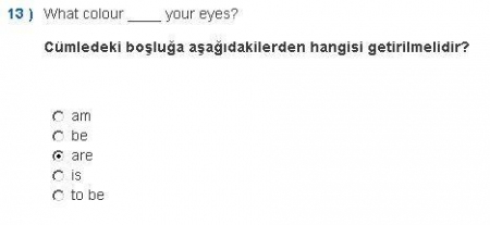 İngilizce -1 Vize Soruları ve Cevapları