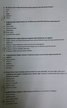 Çalışma İlkeleri ve Etik Dersi Vize Soruları
