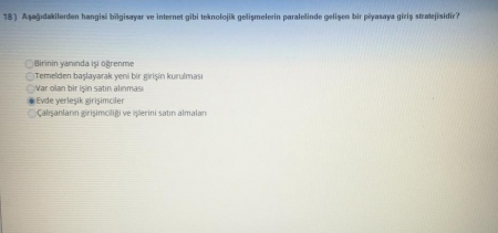 Girişimcilik ve Proje Yönetimi Vize Soruları ve Cevapları