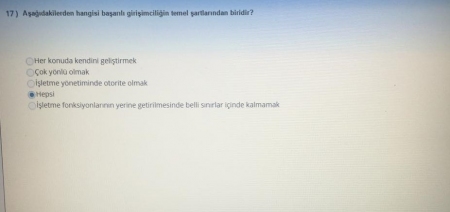 Girişimcilik ve Proje Yönetimi Vize Soruları ve Cevapları