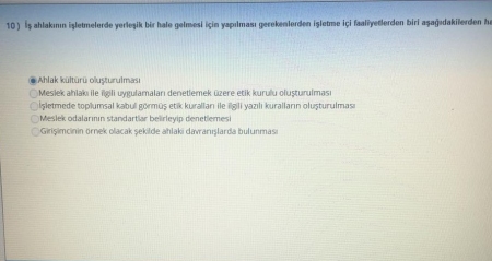 Girişimcilik ve Proje Yönetimi Vize Soruları ve Cevapları