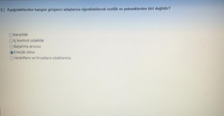Girişimcilik ve Proje Yönetimi Vize Soruları ve Cevapları
