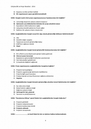 Girişimcilik ve Proje Yönetimi Çalışma Soruları