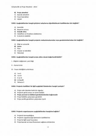 Girişimcilik ve Proje Yönetimi Çalışma Soruları