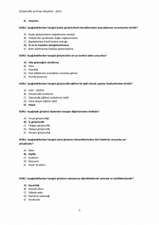 Girişimcilik ve Proje Yönetimi Çalışma Soruları