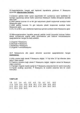 Bitki Besleme Dersi Vize ve Final Çalışma Soruları ve Cevapları